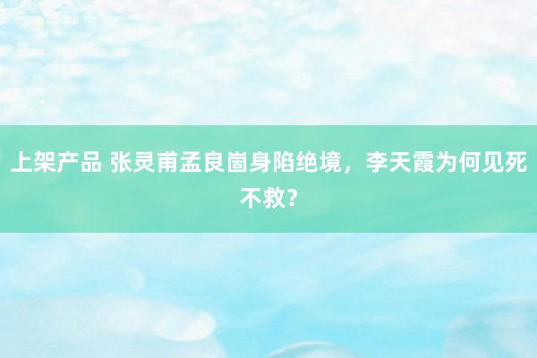 上架产品 张灵甫孟良崮身陷绝境，李天霞为何见死不救？