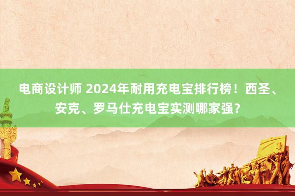 电商设计师 2024年耐用充电宝排行榜！西圣、安克、罗马仕充电宝实测哪家强？