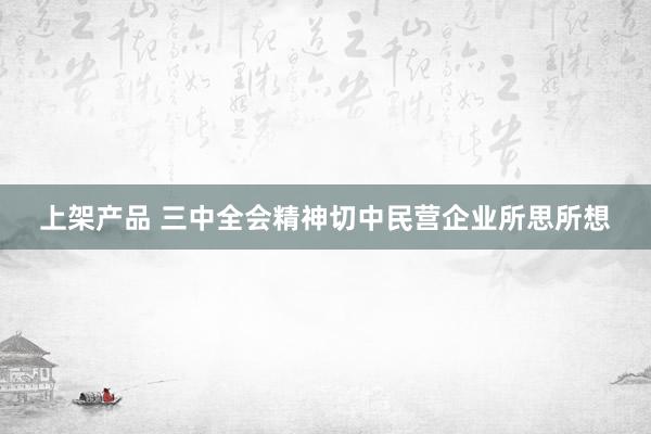 上架产品 三中全会精神切中民营企业所思所想